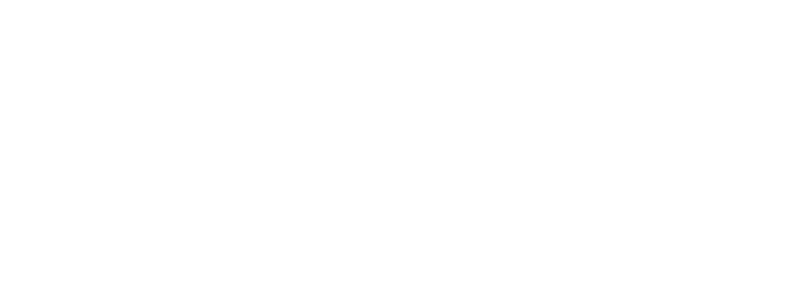 Arteca Consulting Group